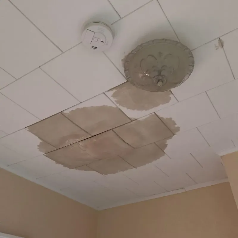 Ceiling Water Damage Repair in East Highland Park, VA