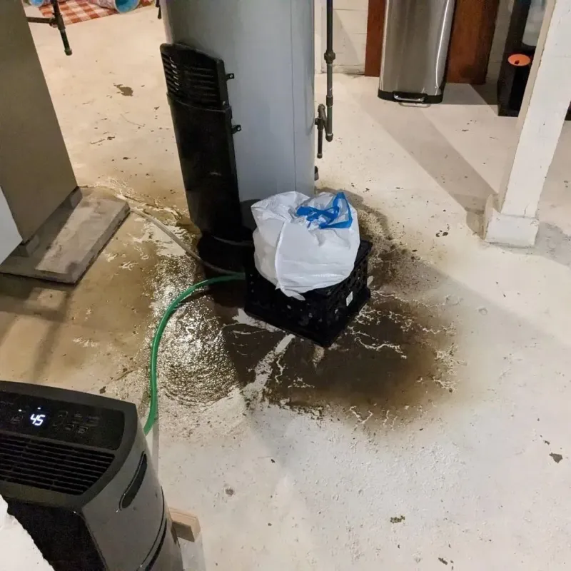 Sewage Backup Cleanup Service in East Highland Park, VA